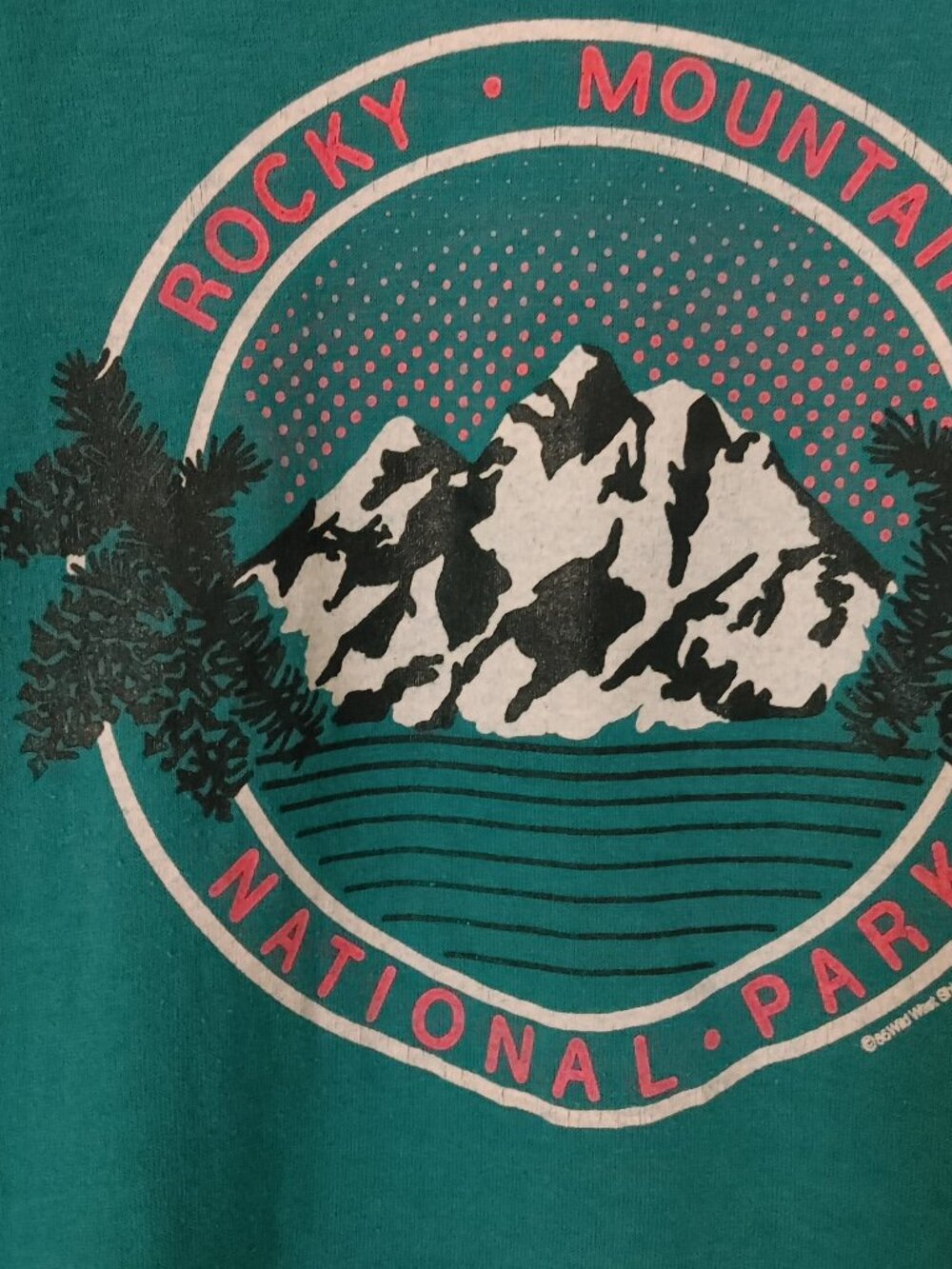 Vintage Rocky Mountain National Park Green T-Shirt Size Medium (38-40)